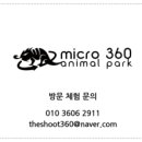 로라랜드