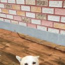 춘포면-14 이미지