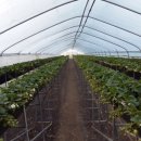 해선농장 이미지