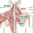 성신사우나 이미지