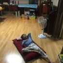 05(영오) 이미지