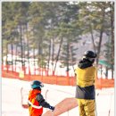 준스키지산점 | 지산스키장 스키강습 스키장 방문 만족
