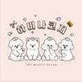 하비나 코지 이미지