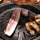 거북이동네 이미지
