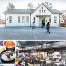 나이테식당