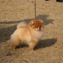 헬리우스 이미지