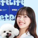 퍼피라이프 이미지