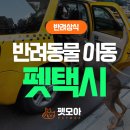 펫이동서비스 이미지