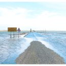 성원행정사사무소 이미지