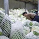 신선유통 이미지