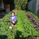 영남자동차정비공장 이미지