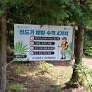 제주파인비치 카라반 이미지