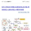 Ldh간 피부색 멜라닌 무산소 산성화 도대체 주파수 장애인들은 9들 딱들인데 마산 육시우란놈 왜케 설치는거임 이미지