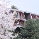 더글라스 이미지