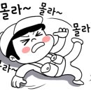 동해낚시점 이미지