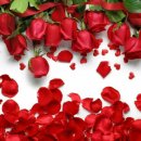 하늘바다 이미지