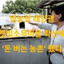 가시 태양광발전사업 이미지