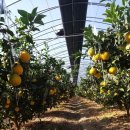 왕눈이농장 이미지