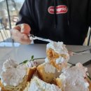 호야애견 이미지