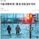 스페인 세비야 스냅 밀로스튜디오 솔직후기 유럽스냅 추천 비추천🇪🇸🇪🇸