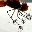 신마산식당 이미지