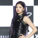 블르바드 이미지