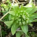 광명리마을회관 이미지