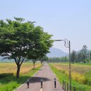 함안 생태 강나루공원1 이미지