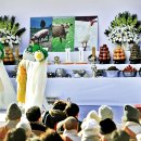 화천가축인공수정소 | [특별기고] 동물권단체 대표이사의 안락사 사태를 보고
