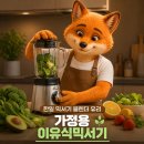 한일 믹서기 블렌더 후기, 유리 용기라 이유식부터 주스까지 마음 편한 미니 소형 믹서기