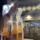 서울앵무새 연구소 이미지
