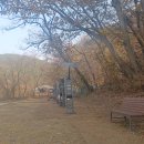 생태와대구 이미지