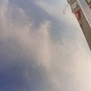세림손세차장