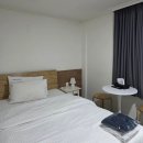 멍멍아 여기어때 이미지