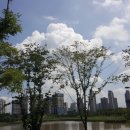 소사벌프라자 이미지