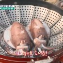 시즌낚시 티스토리