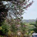 내계폭포화장실 이미지