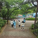 호신태권도 이미지