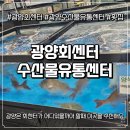 한솔동_주민센터(입구) | [광양회센터] 광양수산물유통센터 깔끔하고 신선한 회센터 방문 후기 (내돈내산)