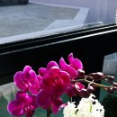 한우리공동생활가정 이미지