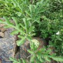 도예로 힐링하기 이미지