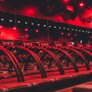 KINGDOM'S GYM 이미지