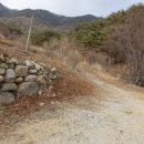 칠보산(七寶山 810m).등운산(騰雲山768m)/경북 영덕 이미지