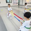 챔프태권도장 이미지