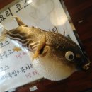 청명 복.아구 이미지