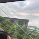 돈추 이미지
