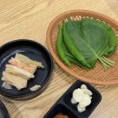 오징어먹는날 | 광주 상무지구 횟집 추천 : 현지인들이 줄서서 먹는 오징어 맛집 해안선 후기