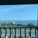 [230616] 제주도 여행-2 [동쪽]