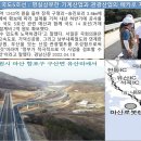 신화5호 이미지