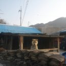 카페더유월 이미지